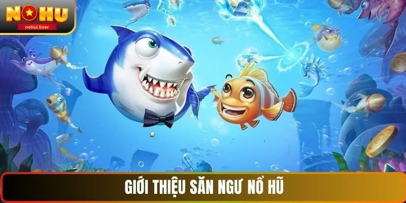 Giới thiệu săn ngư NOHU